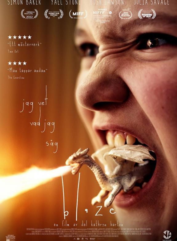 Blaze - jag vet vad jag såg poster