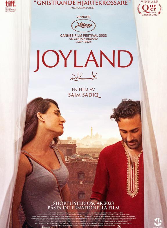 Joyland poster